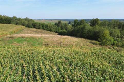 Działka na sprzedaż, 11000 m2, Stare Juchy