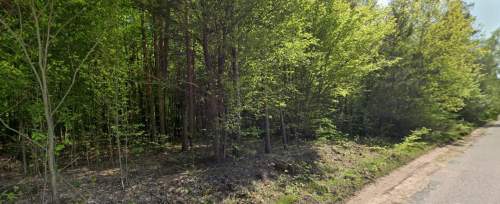 Działka leśna na sprzedaż, 22800 m2, Kamianka