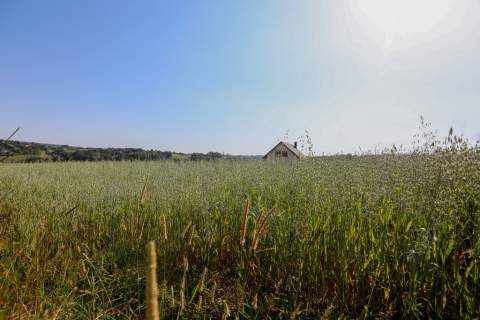 Działka budowlana Siemiechów - gm. Gromnik