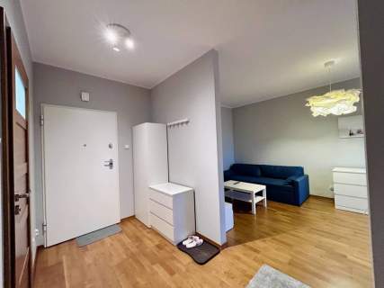 Mieszkanie do wynajęcia, 45 m2, Poznań