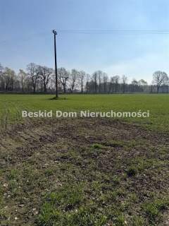 Działka na sprzedaż, 8000 m2, Czechowice-Dziedzice