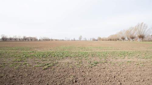 Działka - Karczowiska Górne