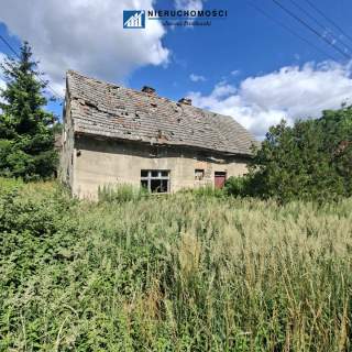 Przemków Duża działka 2 641 m z zabudową