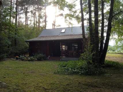 Domek ukryty w małym lesie, blisko rzeki, Cieciory gm. Turośl