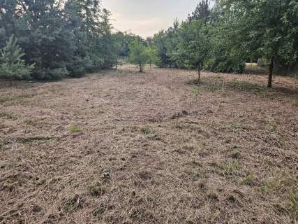 Działka rolno-budowlana 1,52 ha Dąbrowa gm. Ludwin