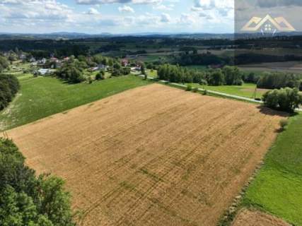 Budowlana 91 ar Lichwin gm. Pleśna, przy lesie