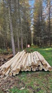 Na sprzedaż wyjątkowy kompleks leśny 15,43 h las 