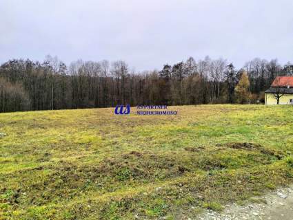 Działki, Kielnarowa, 5740m2