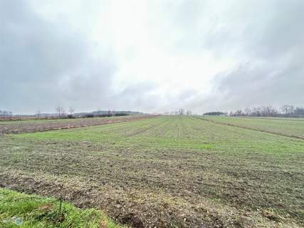 Działka rolna z możliwością zabudowy okolice Buska