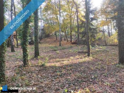 Łomianki, Dąbrowa Leśna, działka 1500m2