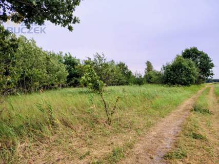 Sprzedam ziemię rolną 4 ha w Starych Budach