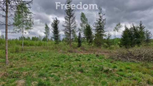 Twoje miejsce ciszy 750m od jeziora Warmia Mazury