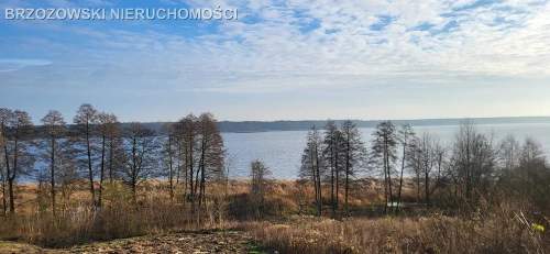 Jadwisin, MPZP 7180 m2, mieszkaniowa, nad Zalewem