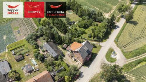 Gospodarstwo z dużym potencjałem 4500m 