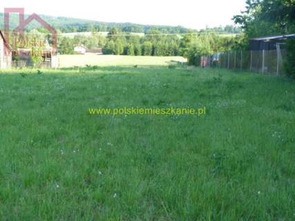 Sprzedam działkę budowlaną 15,0 ar z warunkami zabudowy, Korytniki