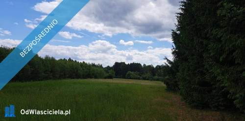 Sprzedam siedlisko 4000 m2 Cisza i spokój, dojazd z Warszawy...