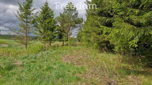 Twoje miejsce ciszy 750m od jeziora Warmia Mazury