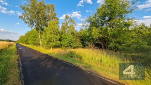 Działka przy lesie Duże 3000m