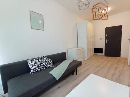 Kawalerka obok parku, pet-friendly- Grunwaldzka 36