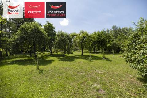 Gospodarstwo z dużym potencjałem 4500m 
