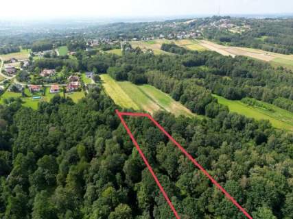 Twój prywatny las blisko Tarnowa - 98 arów spokoju i natury 