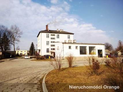 Lokal w ścisłym centrum miasta idealny pod usługi.