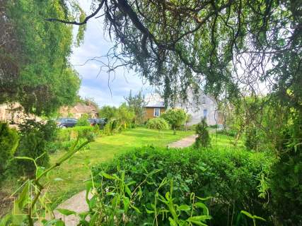 Urokliwe siedlisko na Podlasiu, ok. 5 ha, gm. Tykocin