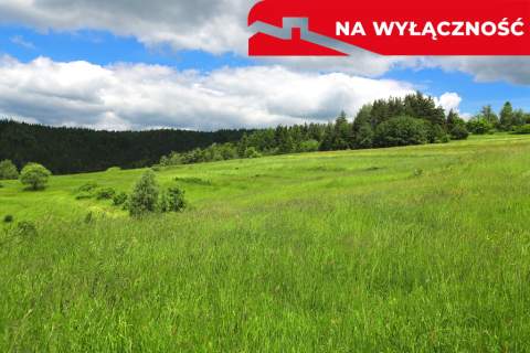 Działka rolno-budowlana w Szlembarku