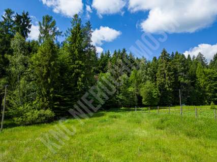 Targoszów działka 2350 m2 spokój las góry