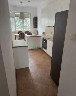 Komfortowe 3 pokoje z balkonem, komórka, garaż