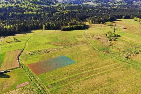 Widokowa działka w Beskidach