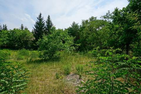 Działka 1308m2, Milanówek