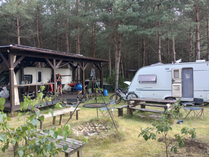 Sprzedam działkę 3000 m2 w kompleksie działek leśnych