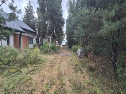 Syndyk sprzeda nieruchomości gruntowe Jachranka