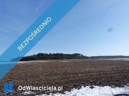 Syndyk sprzeda udział 3/8 w prawie własności nieruchomości gru