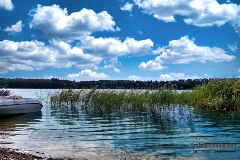 Prywatna plaża, teren i las nad jeziorem Dołgie.