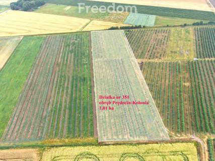 Dom 280 m2 z dochodowym sadem i chłodniami