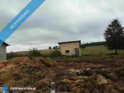 Sprzedam siedlisko 1,5 ha na Mazurach