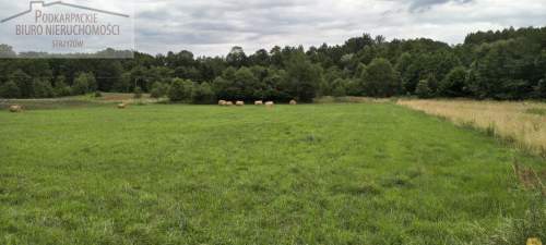Działka budowlana na sprzedaż, 2000 m2, Godowa