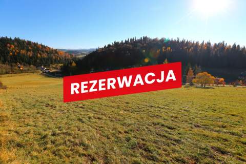 Działka rolno-budowlana w Łapszach Niżnych