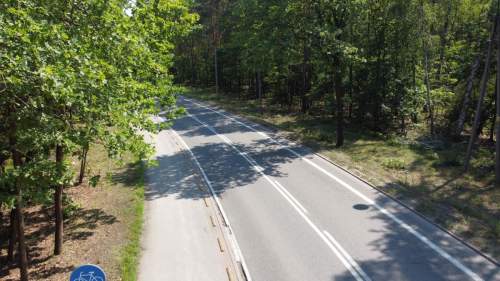 Działka leśna do własnej aranżacji