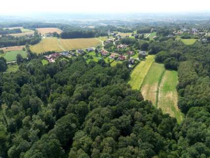 Twój prywatny las blisko Tarnowa - 98 arów spokoju i natury 