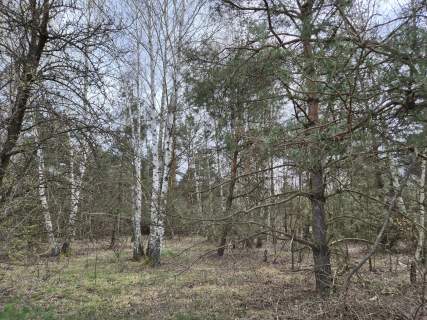 Działka budowlana, Kuklówka Radziejowicka, 1432 m2