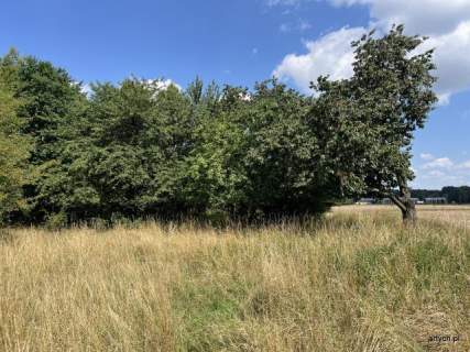 Działka budowlana na sprzedaż, 71579 m2, Ceranów