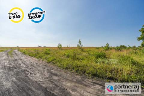 Wydane warunki zabudowy Południowa Płaska