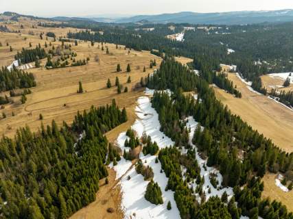 Działki rolne w Rzepiskach 3830m2