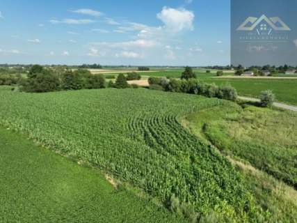 Działka rolna 80 arów w Miechowicach