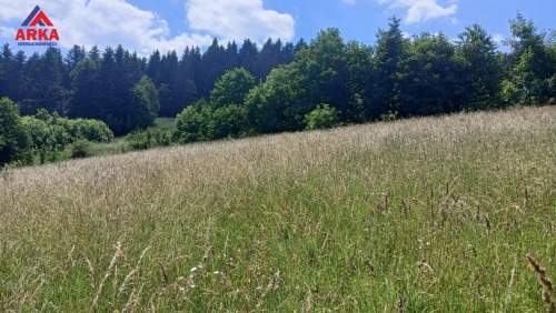 Widokowa działka budowlana na uboczu