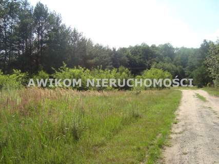 Działka siedliskowa na sprzedaż, 12900 m2, Many