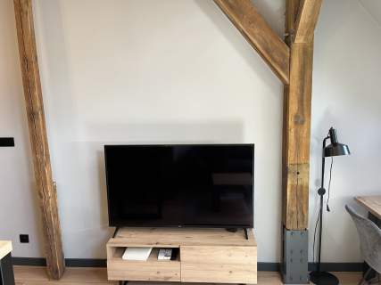 LOFT W ZABYTKOWYM BROWARZE - wyjątkowe, bez pośrednika